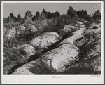Soil erosion gullies on farm in Caswell County, North Carolina.