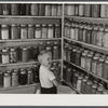 Bobby Willis, son of W.H. Willis, FSA (Farm Security Administration) borrower, getting some of their canned goods off the shelves his father built in their home near Yanceyville, North Carolina.