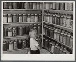 Bobby Willis, son of W.H. Willis, FSA (Farm Security Administration) borrower, getting some of their canned goods off the shelves his father built in their home near Yanceyville, North Carolina.