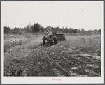 Harvesting soy bean seed on Roger's farm with a combine purchased by Emery M. Hooper thru an FSA Coop Community Service Loan.  Corbett Ridge section, Caswell County, North Carolina.