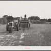 Harvesting soy bean seed on Roger's farm with a combine purchased by Emery M. Hooper thru an FSA Coop Community Service Loan.  Corbett Ridge section, Caswell County, North Carolina.