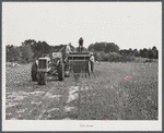 Harvesting soy bean seed on Roger's farm with a combine purchased by Emery M. Hooper thru an FSA Coop Community Service Loan.  Corbett Ridge section, Caswell County, North Carolina.