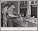 E.O. Foster's son (tenant purchase family) washing milk bottles in their Caswell Dairy. Caswell County, North Carolina.