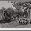 Stacks of wood for fuel on Emery Hooper's farm. Corbett Ridge section near Prospect Hill, Caswell County, North Carolina.