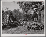 Stacks of wood for fuel on Emery Hooper's farm. Corbett Ridge section near Prospect Hill, Caswell County, North Carolina.