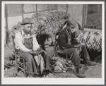 Grading and stripping tobacco in the pack house on Emery M. Hooper's farm in Corbett Ridge section. Caswell County, North Carolina.