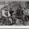 Grading and stripping tobacco in the pack house on Emery M. Hooper's farm in Corbett Ridge section. Caswell County, North Carolina.