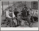 Grading and stripping tobacco in the pack house on Emery M. Hooper's farm in Corbett Ridge section. Caswell County, North Carolina.