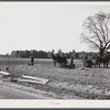 Planting winter wheat on farm near Yanceyville. Caswell County, North Carolina.