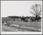 Planting winter wheat on farm near Yanceyville. Caswell County, North Carolina.