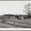 Planting winter wheat on farm near Yanceyville. Caswell County, North Carolina.