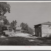 Tobacco barns at the crossroads near Hightowers and Prospect Hill. Caswell County, North Carolina.