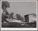 Tobacco barns at the crossroads near Hightowers and Prospect Hill. Caswell County, North Carolina.