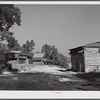 Tobacco barns at the crossroads near Hightowers and Prospect Hill. Caswell County, North Carolina.