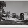 Tobacco barns at the crossroads near Hightowers and Prospect Hill. Caswell County, North Carolina.