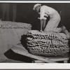 Farmers unloading their tobacco from their trailer to the baskets the night before auction sale in Hughes warehouse. Danville, Virginia.