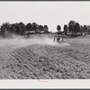 Discing and preparing land before planting winter grain crop on Wood's farm, a few miles north of Yanceyville on Danville road. Caswell County, North Carolina.