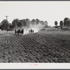 Discing and preparing land before planting winter grain crop on Wood's farm a few miles north of Yanceyville on Danville road. Caswell County, North Carolina.