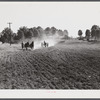 Discing and preparing land before planting winter grain crop on Wood's farm a few miles north of Yanceyville on Danville road. Caswell County, North Carolina.