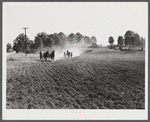 Discing and preparing land before planting winter grain crop on Wood's farm a few miles north of Yanceyville on Danville road. Caswell County, North Carolina.