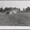 Discing and preparing land before planting winter grain crop on Wood's farm a few miles north of Yanceyville on Danville road. Caswell County, North Carolina.