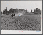 Discing and preparing land before planting winter grain crop on Wood's farm a few miles north of Yanceyville on Danville road. Caswell County, North Carolina.