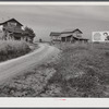 Tobacco barns and cigarette advertisements on country road in Prospect Hill section. Caswell County, North Carolina.