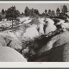Soil erosion gullies on farm in Caswell County, North Carolina.