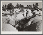 Soil erosion gullies on farm in Caswell County, North Carolina.