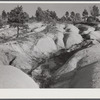 Soil erosion gullies on farm in Caswell County, North Carolina.