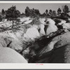 Soil erosion gullies on farm in Caswell County, North Carolina.