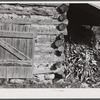 Tobacco barn with corn stalks stored under its shed for winter fodder near Prospect Hill. Caswell County, North Carolina.