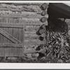 Tobacco barn with corn stalks stored under its shed for winter fodder near Prospect Hill. Caswell County, North Carolina.