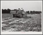 Harvesting soybean seed on the Roger's farm with a co-op combine purchased by Emery M. Hooper through a FSA (Farm Security Administration) community service loan. Corbett Ridge section, Caswell County, North Carolina.