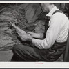 Sharecropper on Emery M. Hooper's farm grading tobacco in his pack house before taking it to the market for auction sale.  Corbett Ridge Section, North Carolina.