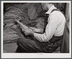 Sharecropper on Emery M. Hooper's farm grading tobacco in his pack house before taking it to the market for auction sale.  Corbett Ridge Section, North Carolina.