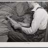 Sharecropper on Emery M. Hooper's farm grading tobacco in his pack house before taking it to the market for auction sale.  Corbett Ridge Section, North Carolina.