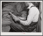 Sharecropper on Emery M. Hooper's farm grading tobacco in his pack house before taking it to the market for auction sale.  Corbett Ridge Section, North Carolina.