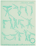 Choreographic notation for Thursday Unison Duet