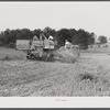Harvesting soybean seed on the Roger's farm with a co-op combine purchased by Emery M. Hooper through a FSA (Farm Security Administration) community service loan. Corbett Ridge section, Caswell County, North Carolina.
