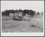 Harvesting soybean seed on the Roger's farm with a co-op combine purchased by Emery M. Hooper through a FSA (Farm Security Administration) community service loan. Corbett Ridge section, Caswell County, North Carolina.