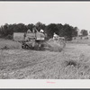 Harvesting soybean seed on the Roger's farm with a co-op combine purchased by Emery M. Hooper through a FSA (Farm Security Administration) community service loan. Corbett Ridge section, Caswell County, North Carolina.