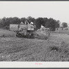 Harvesting soybean seed on the Roger's farm with a co-op combine purchased by Emery M. Hooper through a FSA (Farm Security Administration) community service loan. Corbett Ridge section, Caswell County, North Carolina.