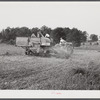 Harvesting soybean seed on the Roger's farm with a co-op combine purchased by Emery M. Hooper through a FSA (Farm Security Administration) community service loan. Corbett Ridge section, Caswell County, North Carolina.