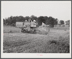 Harvesting soybean seed on the Roger's farm with a co-op combine purchased by Emery M. Hooper through a FSA (Farm Security Administration) community service loan. Corbett Ridge section, Caswell County, North Carolina.