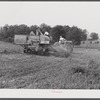 Harvesting soybean seed on the Roger's farm with a co-op combine purchased by Emery M. Hooper through a FSA (Farm Security Administration) community service loan. Corbett Ridge section, Caswell County, North Carolina.