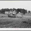 Harvesting soybean seed on the Roger's farm with a co-op combine purchased by Emery M. Hooper through a FSA (Farm Security Administration) community service loan. Corbett Ridge section, Caswell County, North Carolina.