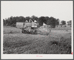 Harvesting soybean seed on the Roger's farm with a co-op combine purchased by Emery M. Hooper through a FSA (Farm Security Administration) community service loan. Corbett Ridge section, Caswell County, North Carolina.