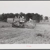 Harvesting soybean seed on the Roger's farm with a co-op combine purchased by Emery M. Hooper through a FSA (Farm Security Administration) community service loan. Corbett Ridge section, Caswell County, North Carolina.