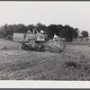 Harvesting soybean seed on the Roger's farm with a co-op combine purchased by Emery M. Hooper through a FSA (Farm Security Administration) community service loan. Corbett Ridge section, Caswell County, North Carolina.